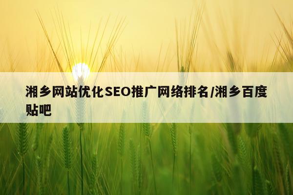 湘乡网站优化SEO推广网络排名/湘乡百度贴吧
