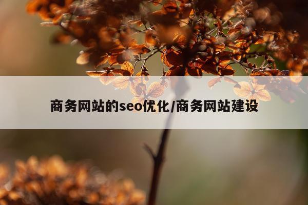 商务网站的seo优化/商务网站建设