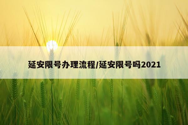 延安限号办理流程/延安限号吗2021