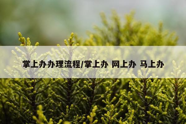 掌上办办理流程/掌上办 网上办 马上办