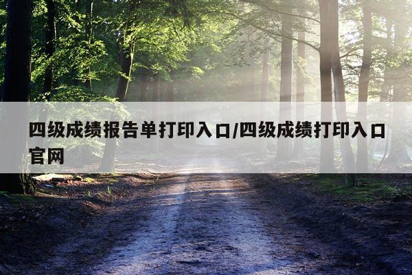 四级成绩报告单打印入口/四级成绩打印入口官网