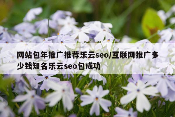 网站包年推广推荐乐云seo/互联网推广多少钱知名乐云seo包成功