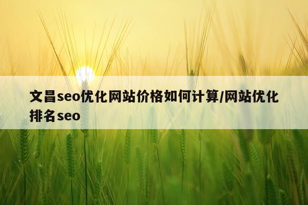 文昌seo优化网站价格如何计算/网站优化排名seo