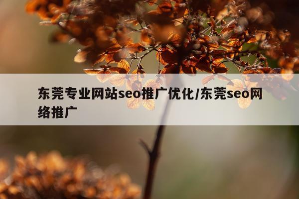 东莞专业网站seo推广优化/东莞seo网络推广