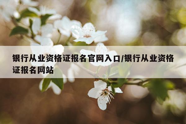 银行从业资格证报名官网入口/银行从业资格证报名网站