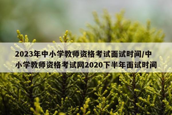2023年中小学教师资格考试面试时间/中小学教师资格考试网2020下半年面试时间