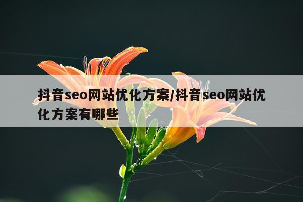 抖音seo网站优化方案/抖音seo网站优化方案有哪些