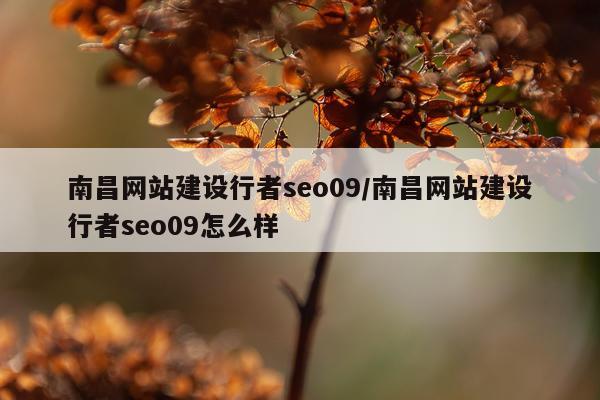 南昌网站建设行者seo09/南昌网站建设行者seo09怎么样
