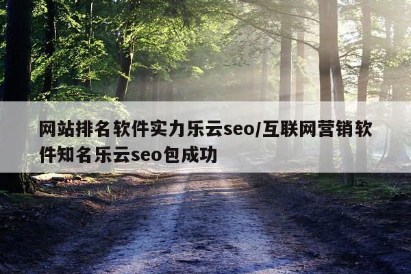 网站排名软件实力乐云seo/互联网营销软件知名乐云seo包成功