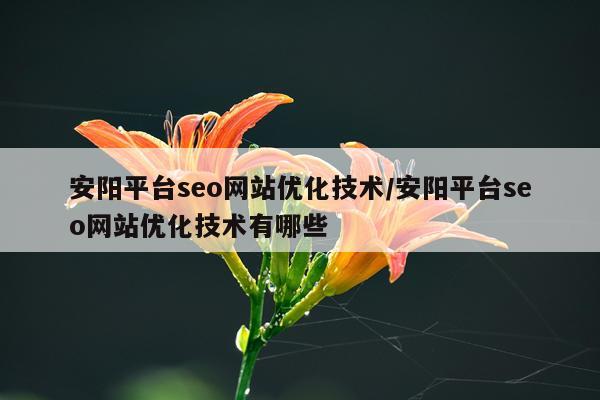 安阳平台seo网站优化技术/安阳平台seo网站优化技术有哪些