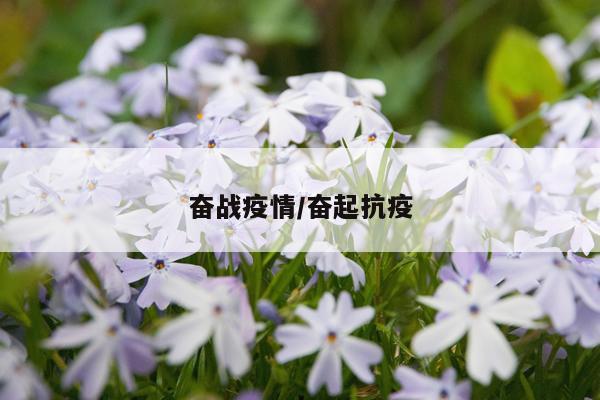 奋战疫情/奋起抗疫