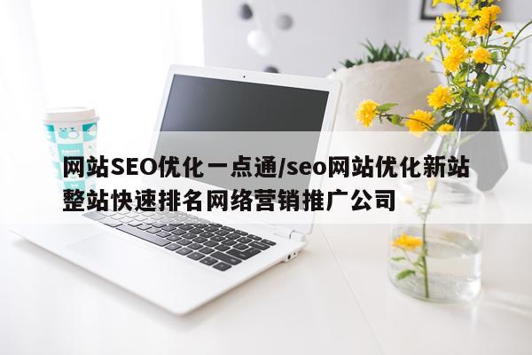 网站SEO优化一点通/seo网站优化新站整站快速排名网络营销推广公司