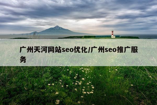 广州天河网站seo优化/广州seo推广服务