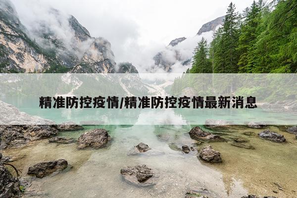 精准防控疫情/精准防控疫情最新消息