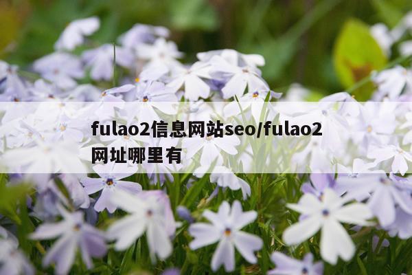 fulao2信息网站seo/fulao2网址哪里有