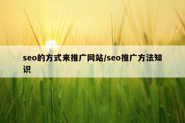 seo的方式来推广网站/seo推广方法知识