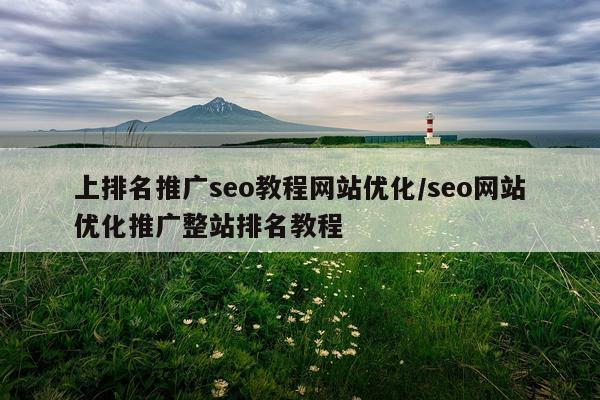 上排名推广seo教程网站优化/seo网站优化推广整站排名教程