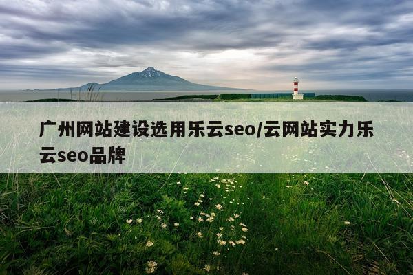 广州网站建设选用乐云seo/云网站实力乐云seo品牌