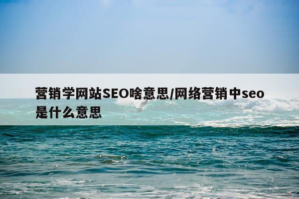 营销学网站SEO啥意思/网络营销中seo是什么意思