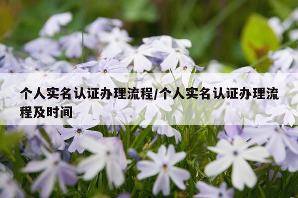 个人实名认证办理流程/个人实名认证办理流程及时间