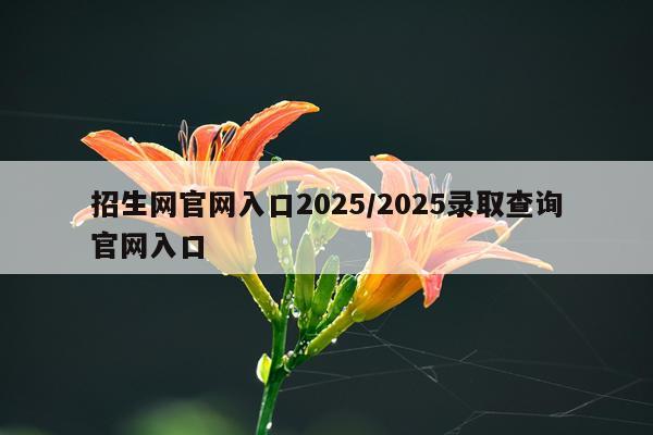 招生网官网入口2025/2025录取查询官网入口