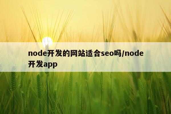node开发的网站适合seo吗/node开发app