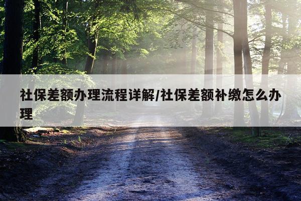 社保差额办理流程详解/社保差额补缴怎么办理