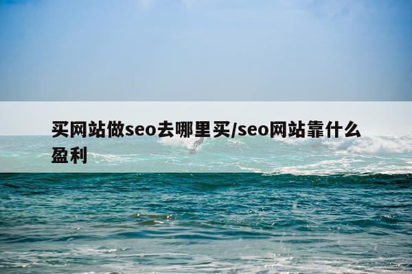 买网站做seo去哪里买/seo网站靠什么盈利