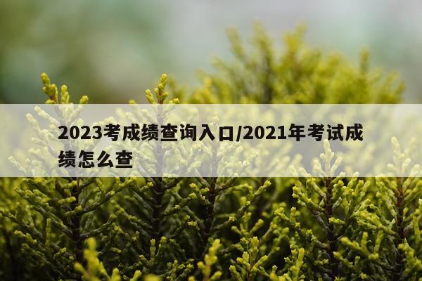 2023考成绩查询入口/2021年考试成绩怎么查