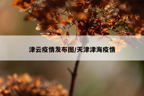 津云疫情发布图/天津津海疫情