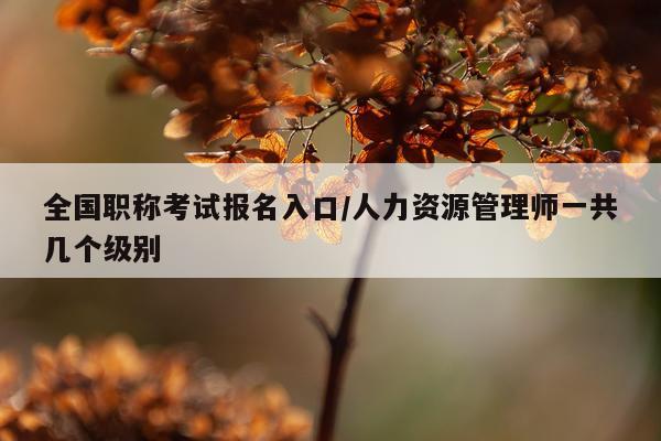全国职称考试报名入口/人力资源管理师一共几个级别