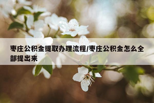 枣庄公积金提取办理流程/枣庄公积金怎么全部提出来