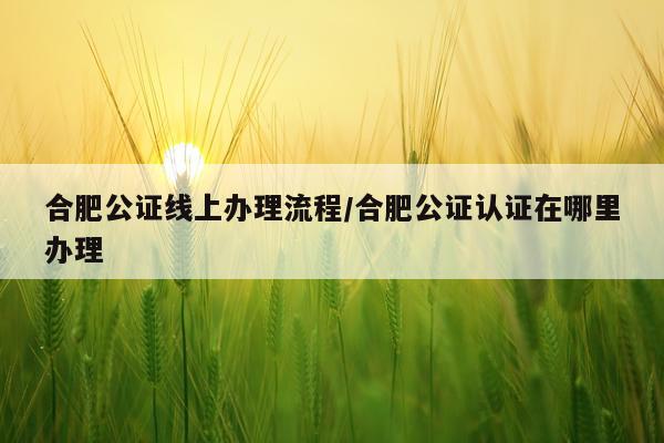 合肥公证线上办理流程/合肥公证认证在哪里办理