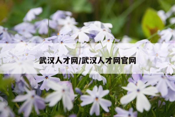 武汉人才网/武汉人才网官网