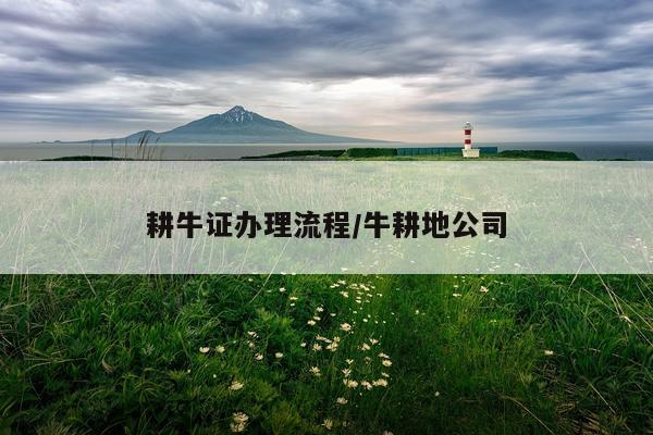 耕牛证办理流程/牛耕地公司