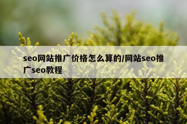 seo网站推广价格怎么算的/网站seo推广seo教程