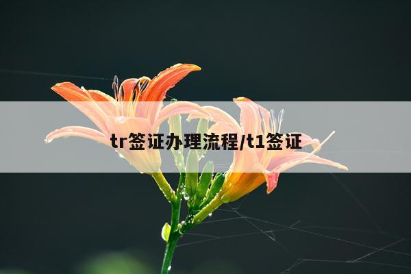 tr签证办理流程/t1签证