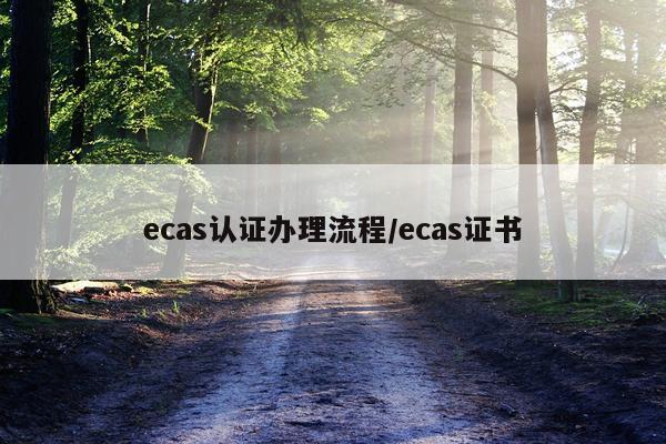 ecas认证办理流程/ecas证书