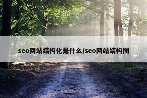 seo网站结构化是什么/seo网站结构图