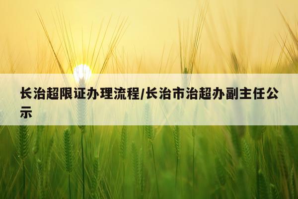 长治超限证办理流程/长治市治超办副主任公示