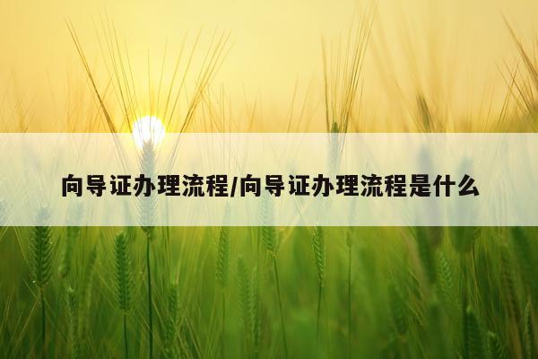 向导证办理流程/向导证办理流程是什么