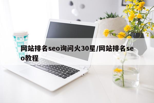 网站排名seo询问火30星/网站排名seo教程