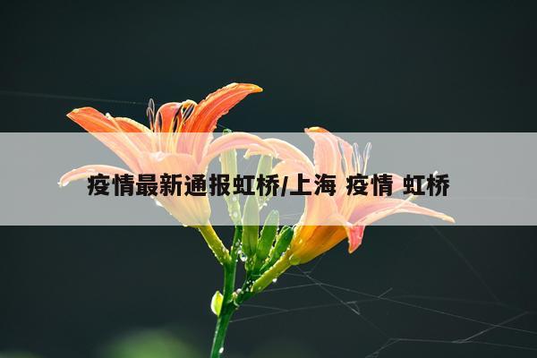 疫情最新通报虹桥/上海 疫情 虹桥