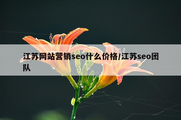 江苏网站营销seo什么价格/江苏seo团队
