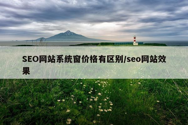 SEO网站系统窗价格有区别/seo网站效果