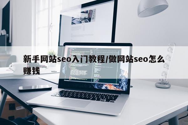 新手网站seo入门教程/做网站seo怎么赚钱