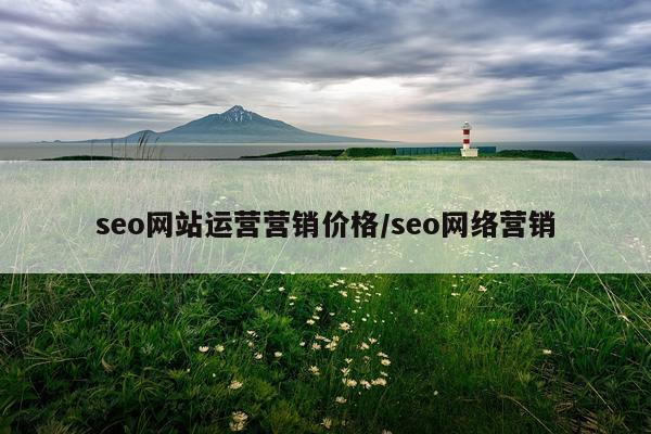 seo网站运营营销价格/seo网络营销