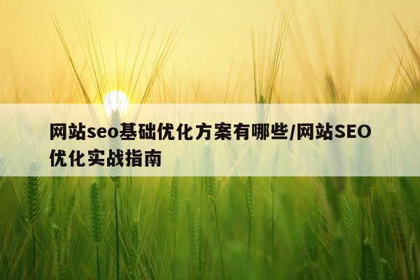 网站seo基础优化方案有哪些/网站SEO优化实战指南