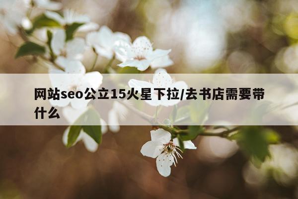 网站seo公立15火星下拉/去书店需要带什么
