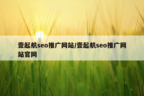 壹起航seo推广网站/壹起航seo推广网站官网
